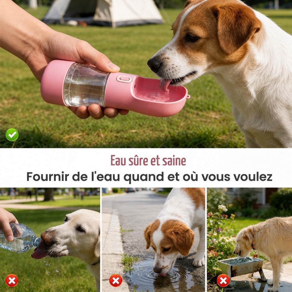 Gourde de voyage 2-en-1